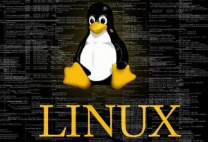 Что нужно знать системному администратору linux