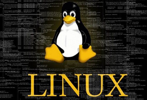 Работа в командной строке Linux и Unix